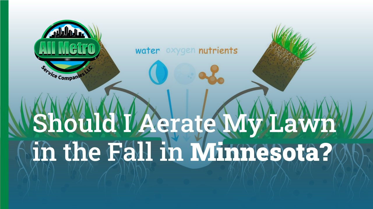 Should I Aerate My Lawn in the Fall in Minnesota?