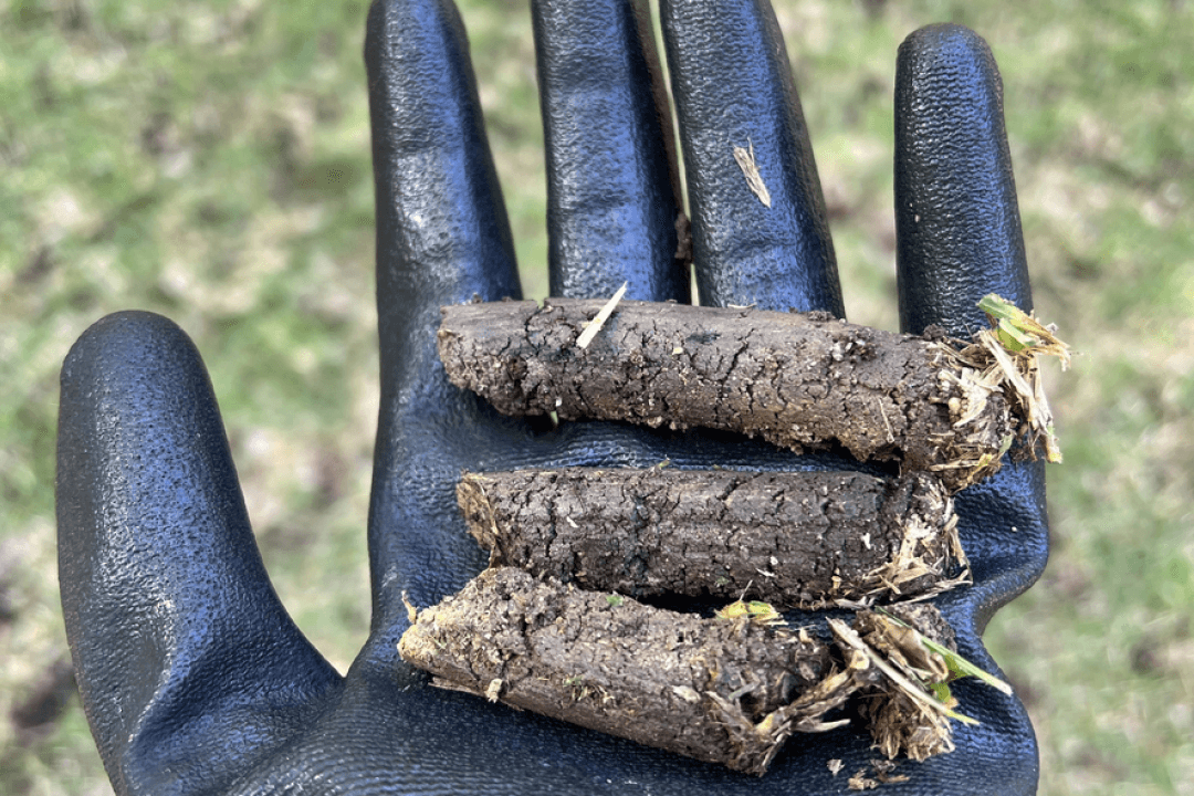  The Importance of Aeration and Overseeding