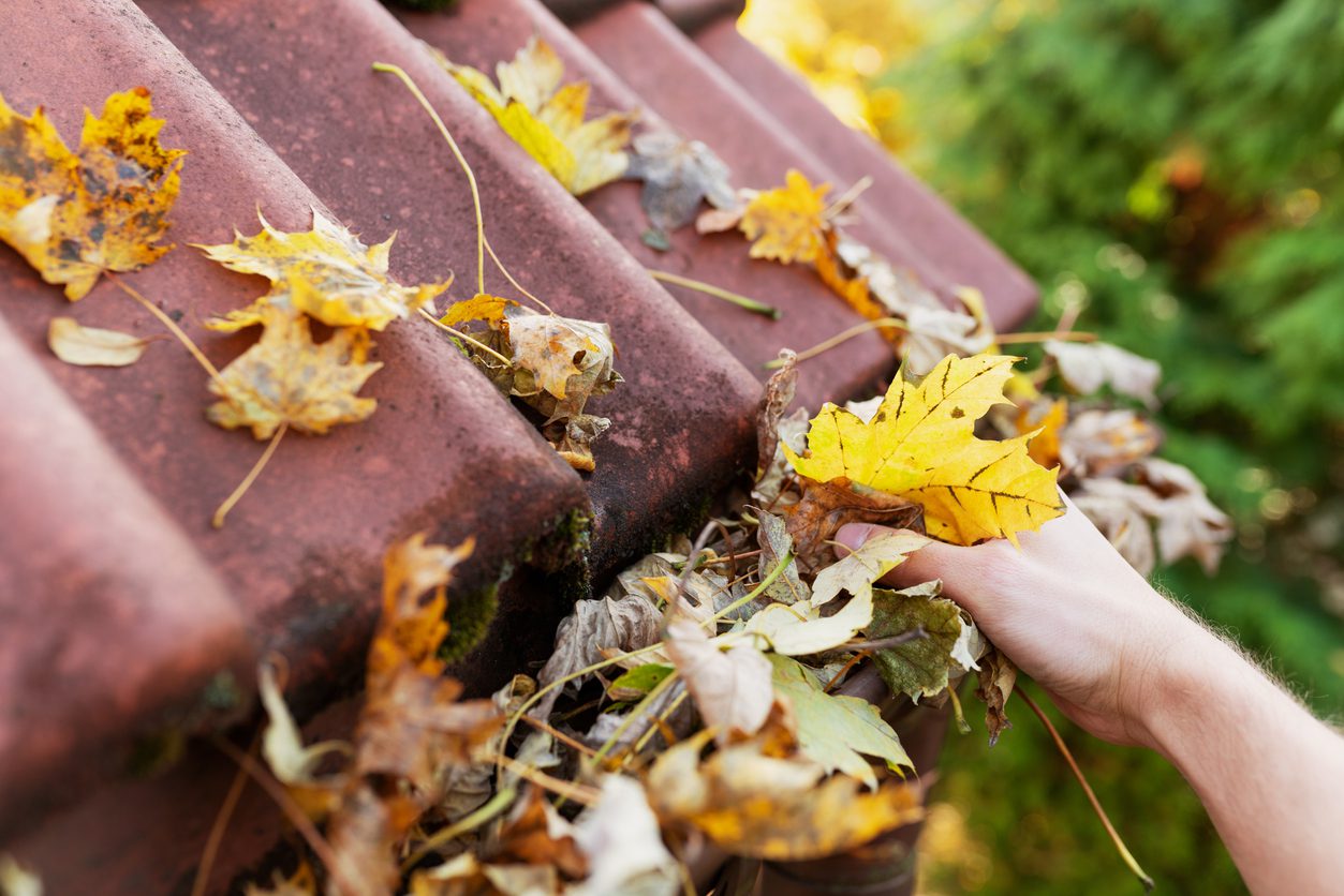 Cleaning clogged gutters and downspouts is one way to prepare your home or business for winter. 